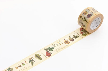 MT Washi Tape / Encyclopedia Series