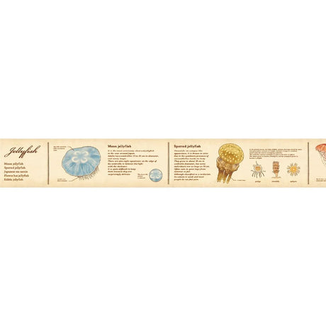 MT Washi Tape / Encyclopedia Series