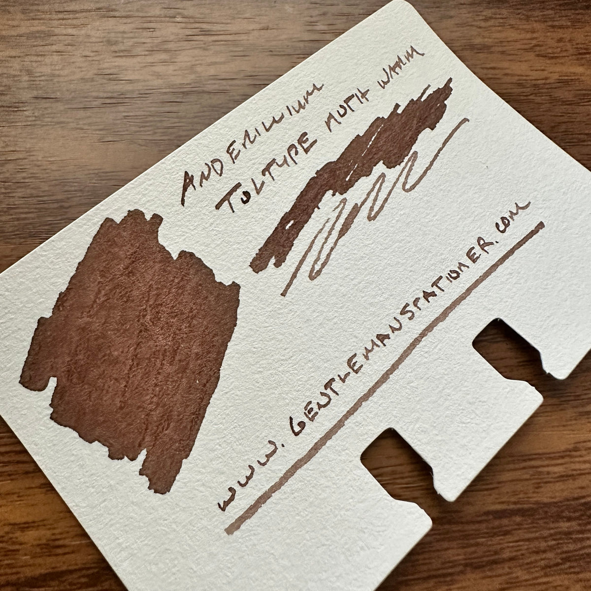 Anderillium Toltype Moth Warm Swatch