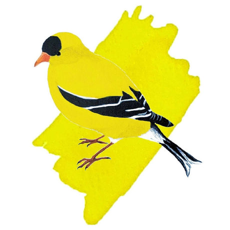 Anderillium Avian Series American Goldfinch Yellow