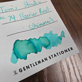 Tom's Studio Bottled Shimmer Ink No. 74 Barrier Reef