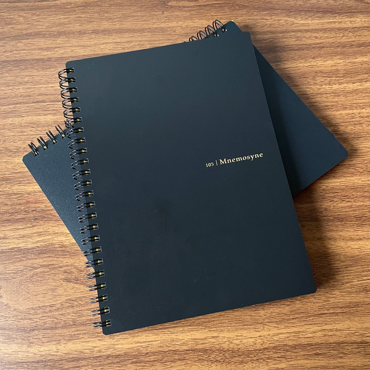Maruman Mnemosyne Notebooks