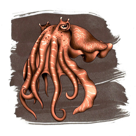 Anderillium Ink Cephalopod Cuttlefish Sepia