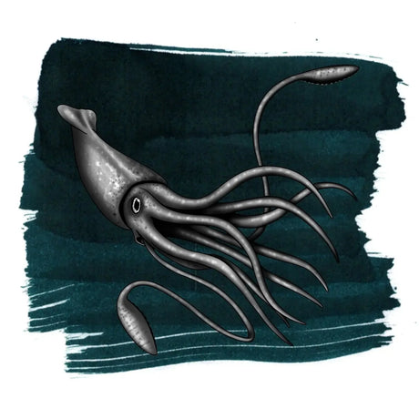 Anderillium Ink Cephalopod Colossal Squid Dark
