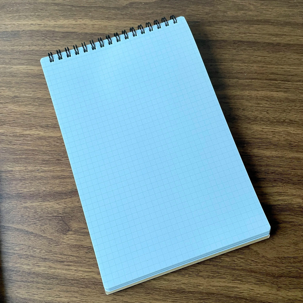Maruman Mnemosyne A5 Steno Pads