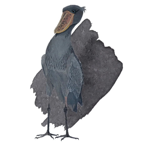 Anderillium Avian Series Shoebill Stork Grey