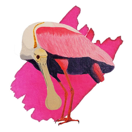 Anderillium Avian Series Roseate Spoonbill Pink