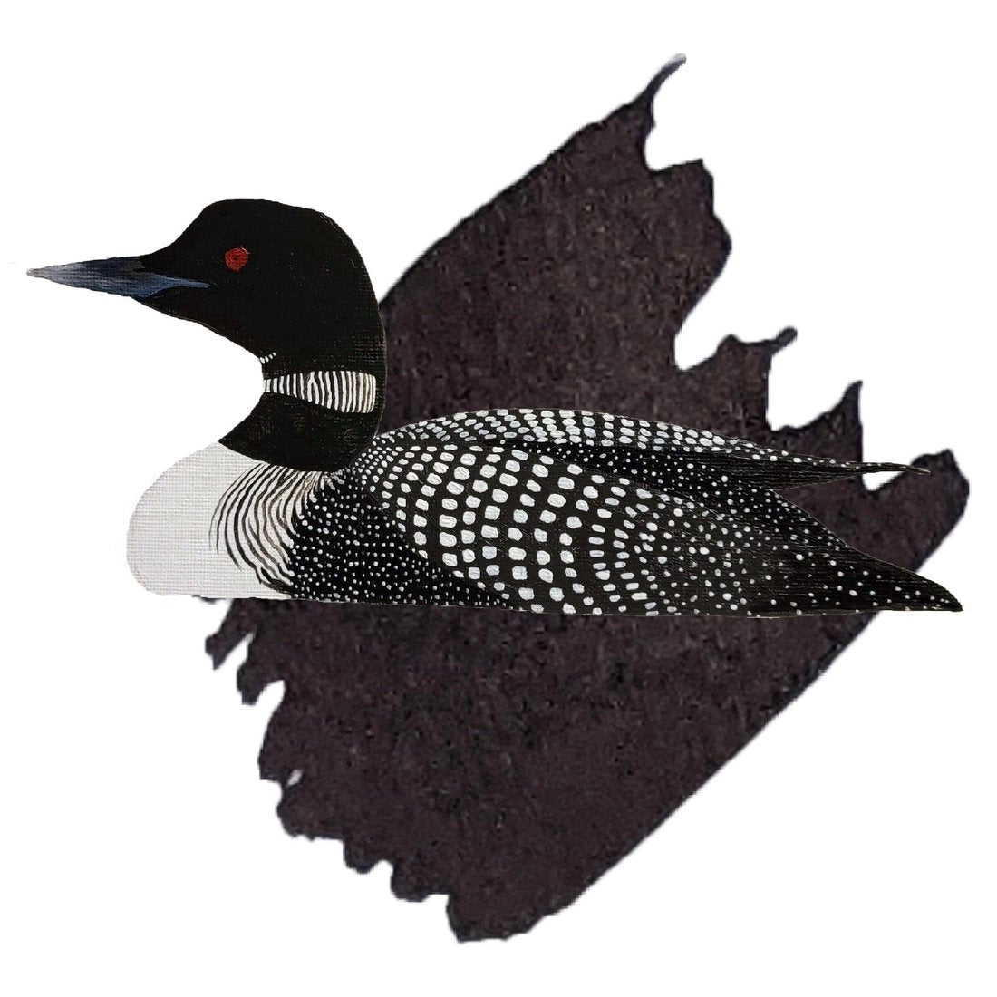 Anderillium Avian Series Common Loon Black