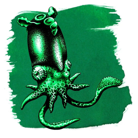 Anderillium Ink Cephalopod Spirula Green