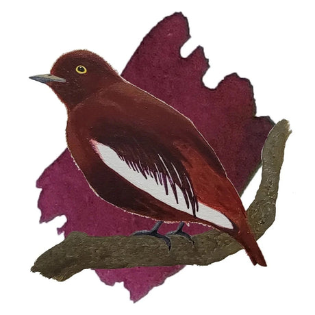 Anderillium Avian Series Pompadour Cotinga Burgundy