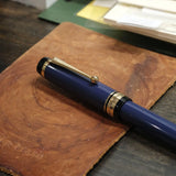 Pilot Custom 845 Urushi Fountain Pen