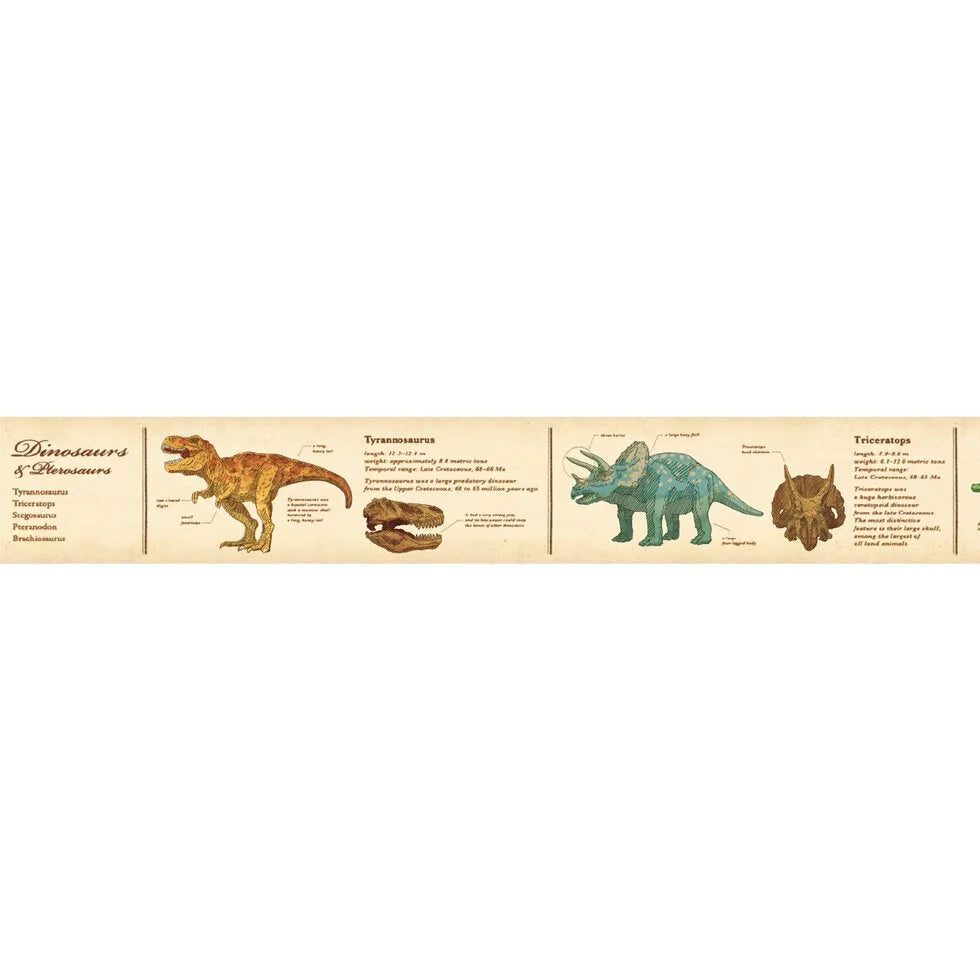 MT Washi Tape / Encyclopedia Series