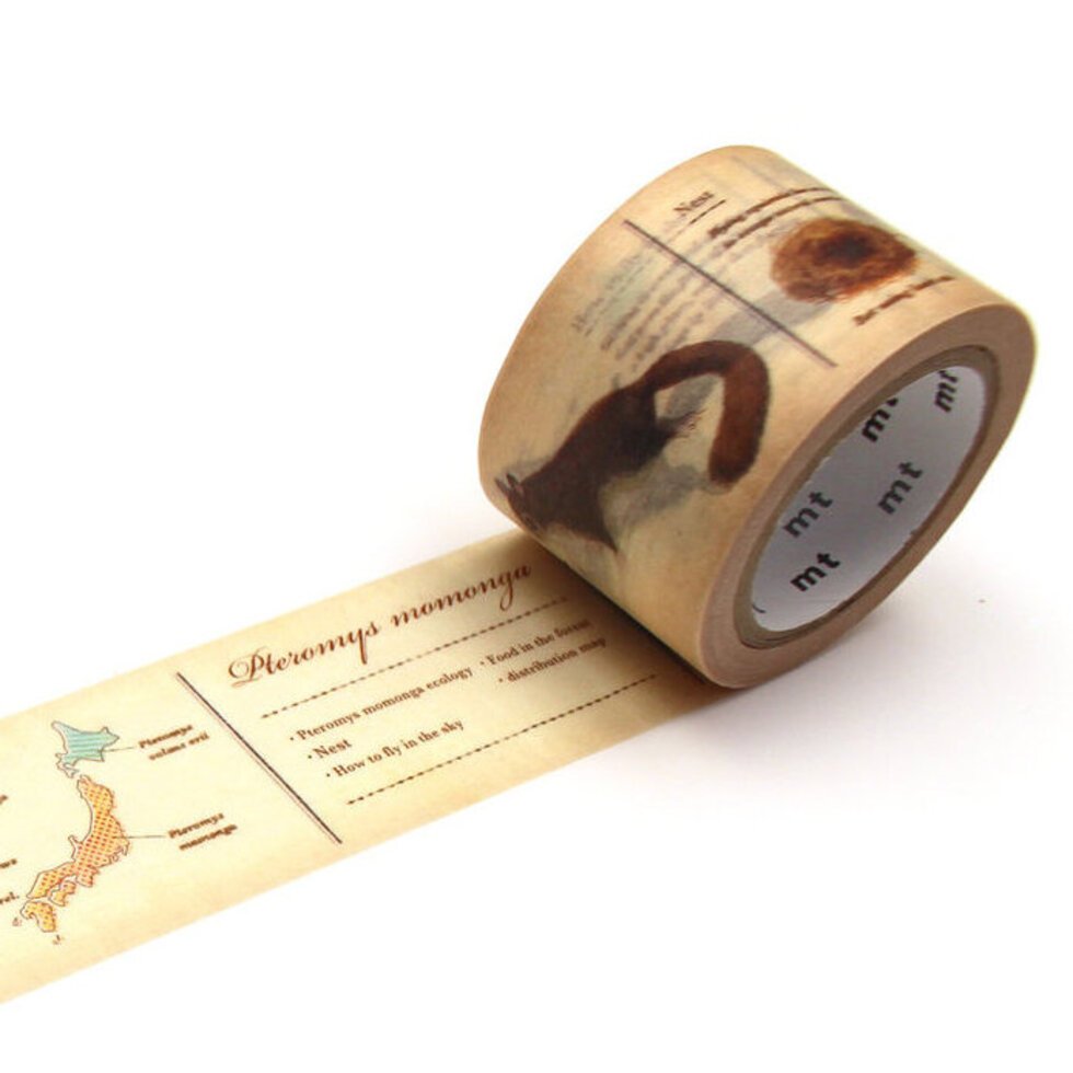 MT Washi Tape / Encyclopedia Series