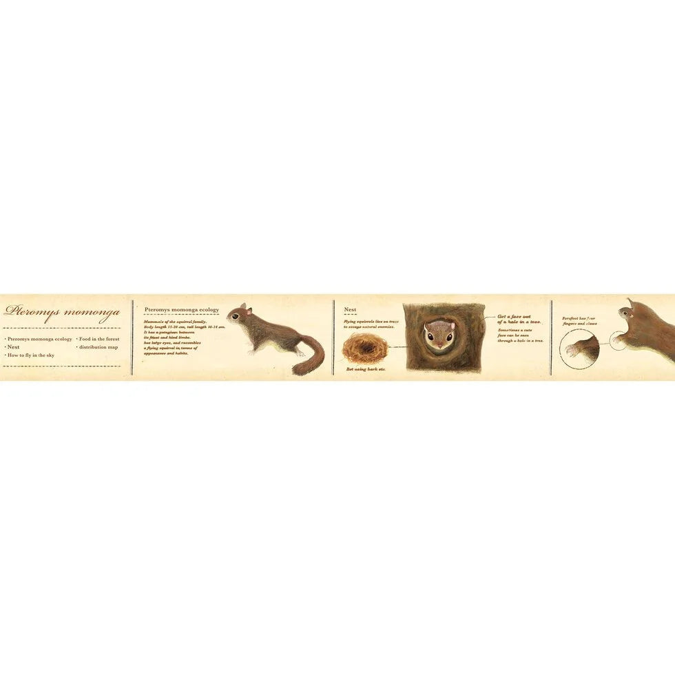 MT Washi Tape / Encyclopedia Series