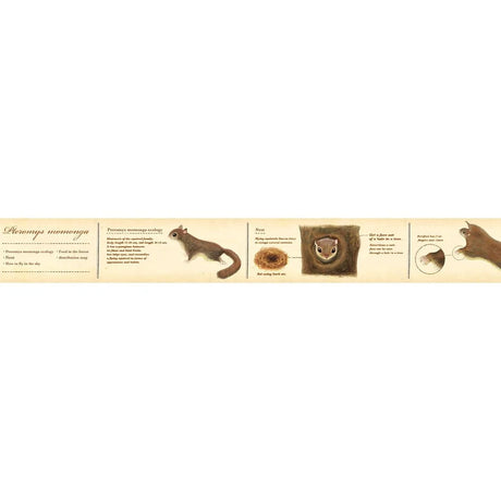 MT Washi Tape / Encyclopedia Series