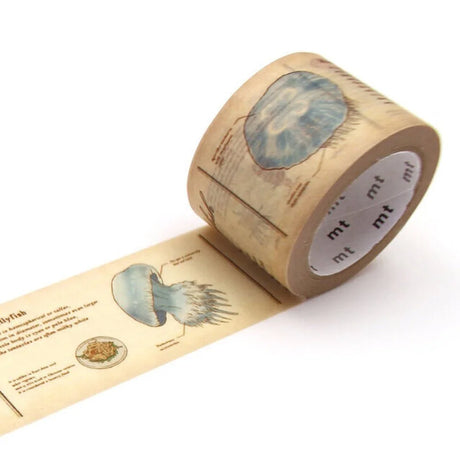 MT Washi Tape / Encyclopedia Series
