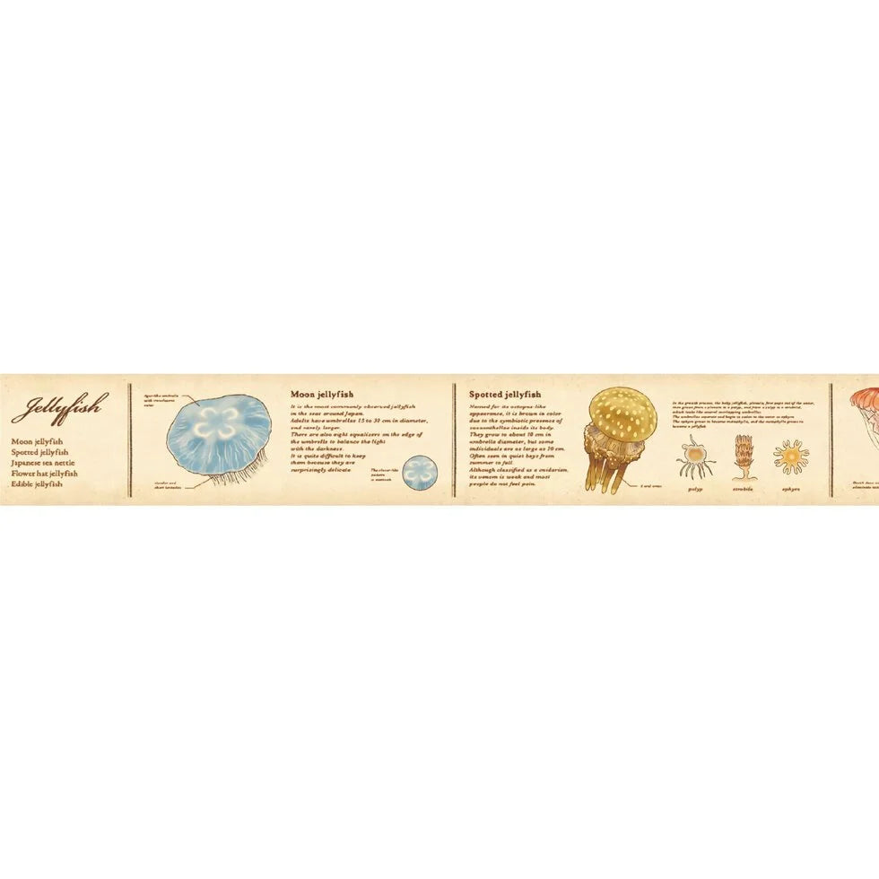 MT Washi Tape / Encyclopedia Series