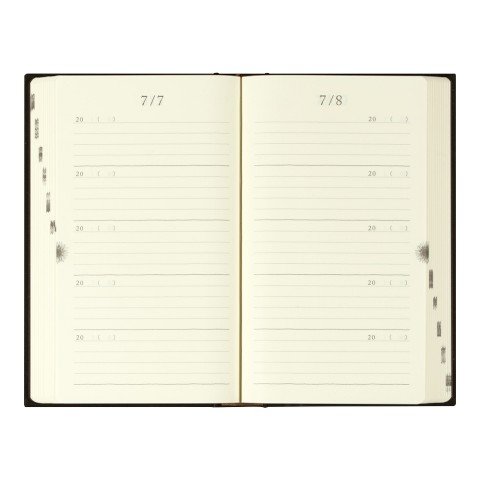 Midori 5-Year Diary two-Pages Facing Layout
