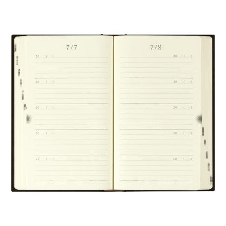 Midori 5-Year Diary two-Pages Facing Layout