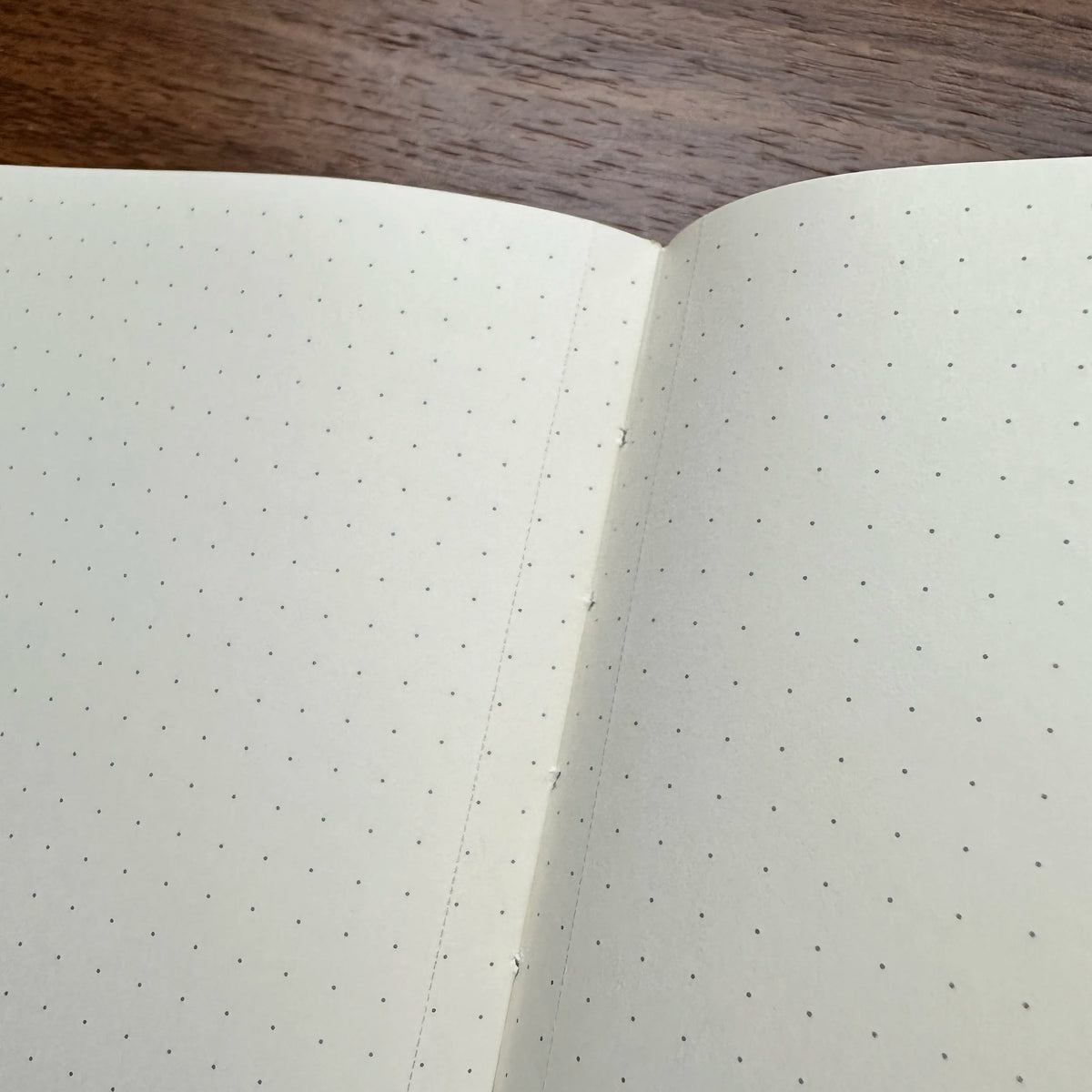 Clairefontaine "My Essentials" A5 Journal Close Up Dot Grid Paper
