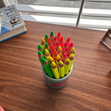 Caran d'Ache Jumbo Highlighter Pencils