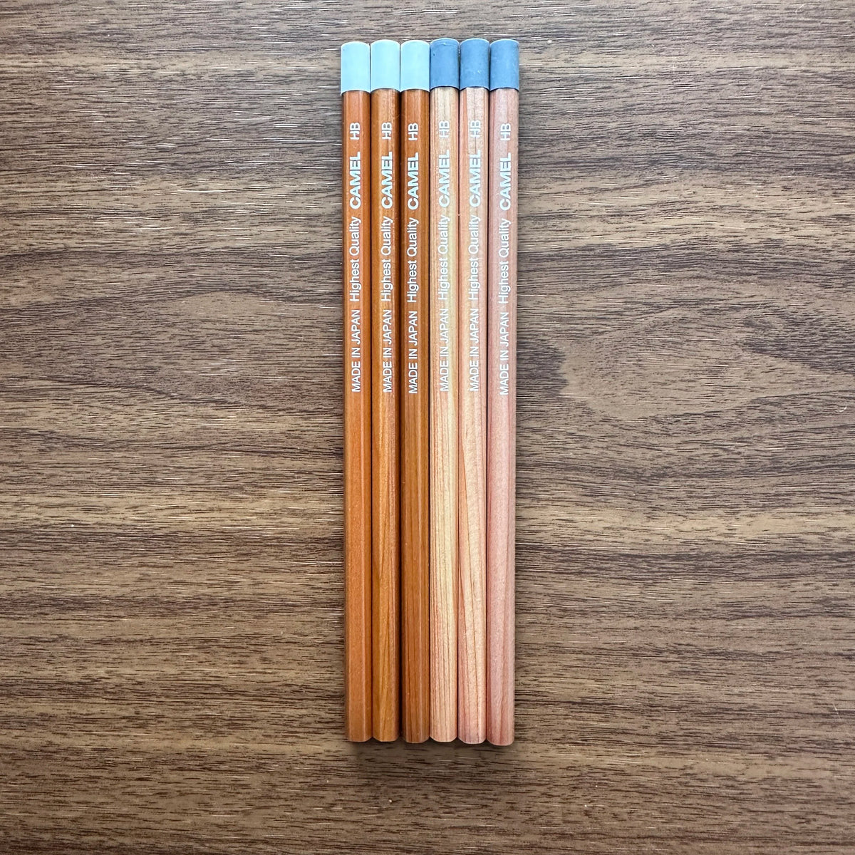 Camel HB Pastel Pencils Dozen Pack three white and three grey