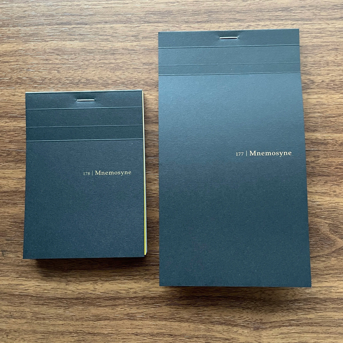 Maruman Mnemosyne "Squared" Notepads