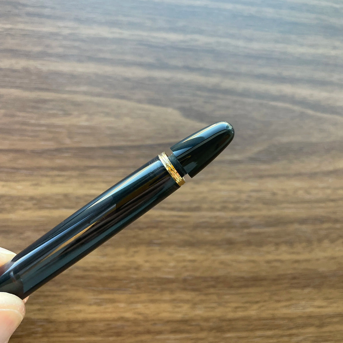 Pilot Custom 823 Fountain Pen