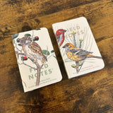 Field Notes Birds and Trees of North America Edition First two release packets