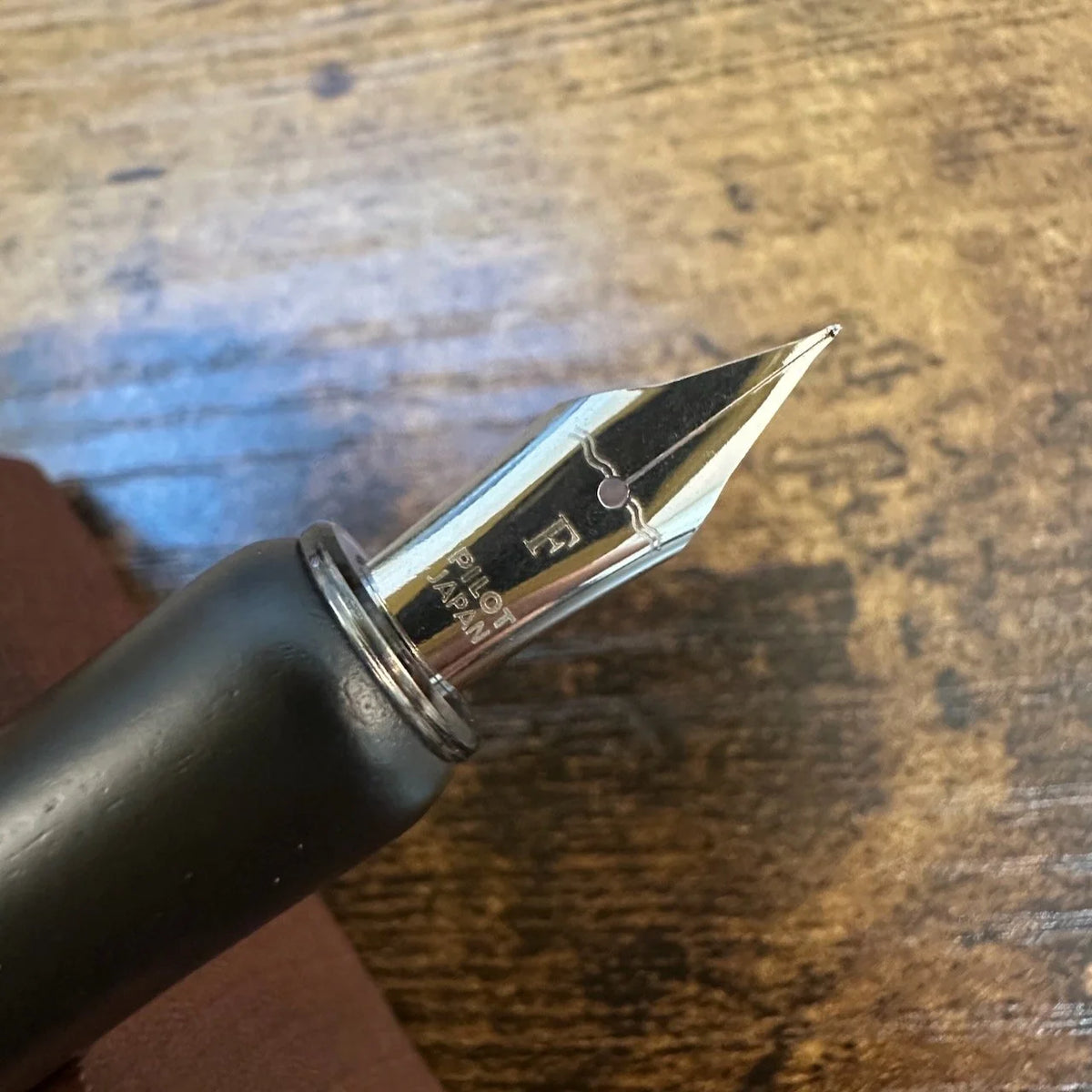 Pilot Iro-Utsushi Dip Pen Nib