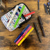 Lamy Safari Standard Fountain Pens