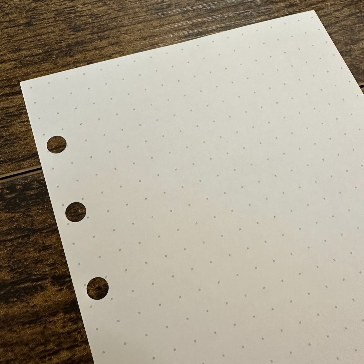 Sakae TP Iroful Planner Paper
