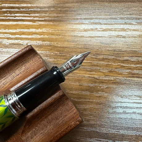 Pilot Metropolitan Fountain Pen Calligraphy Nib