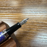 Pilot Metropolitan Fountain Pen Medium Nib Up Close