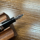 Pilot Metropolitan Fountain Pen Fine Nib