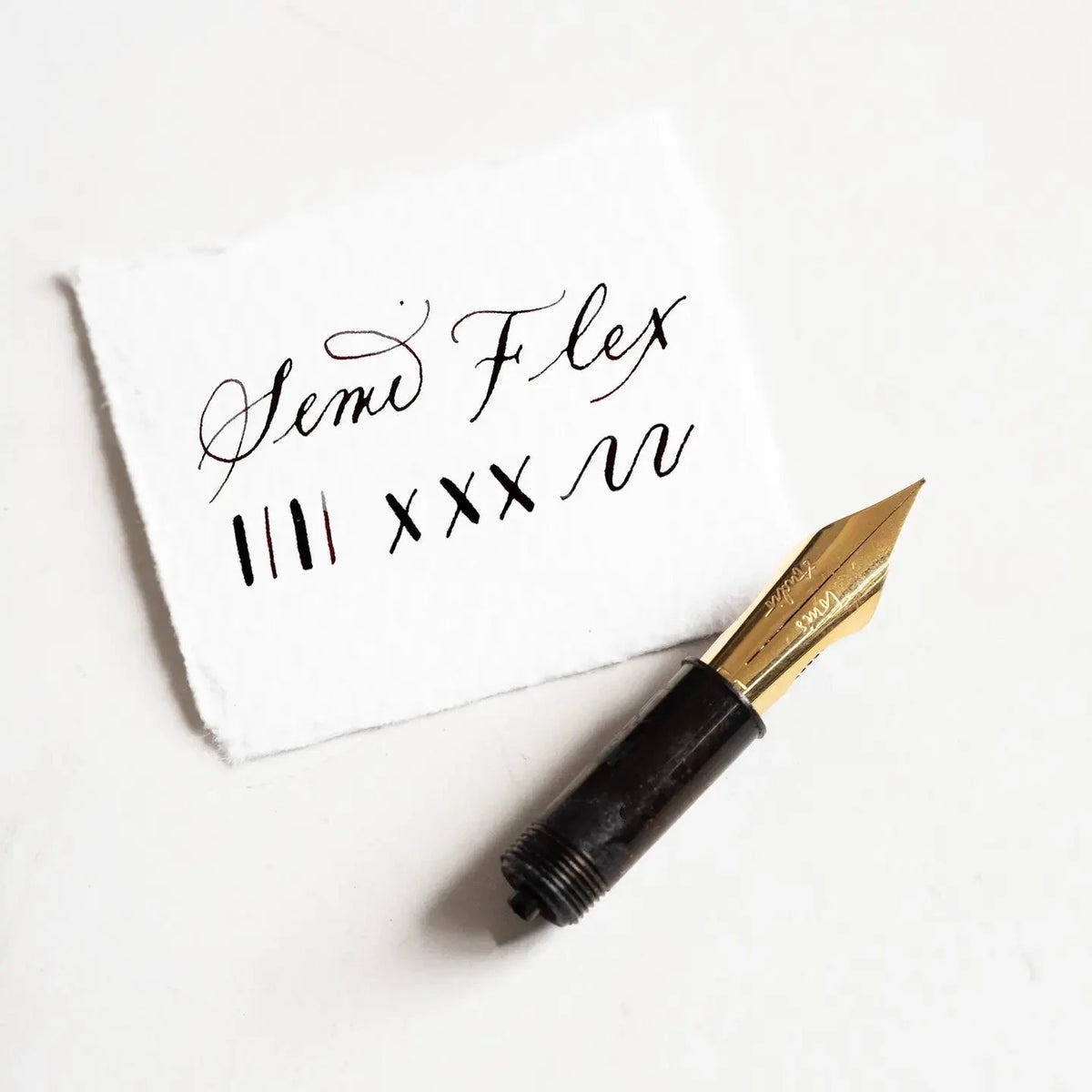 Tom's Studio Specialty Nibs Semi Flex Writing Sample
