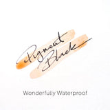 Tom's Studio Fountain Pen Ink Pigment Black Demonstration of Water Resistance