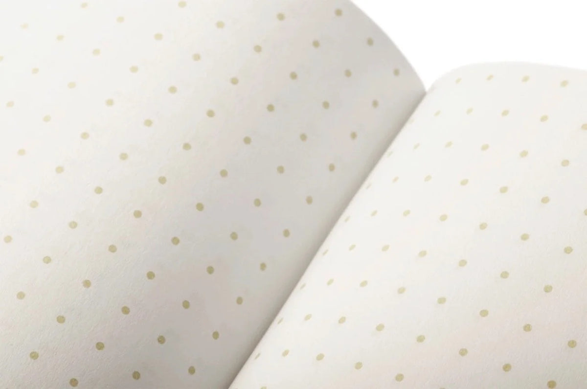 Field Notes Explore America Series Dot Grid Ruling
