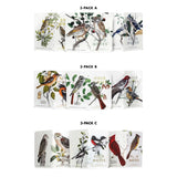 Field Notes Birds and Trees of North America Edition Showing all Three Three-Pack Combinations