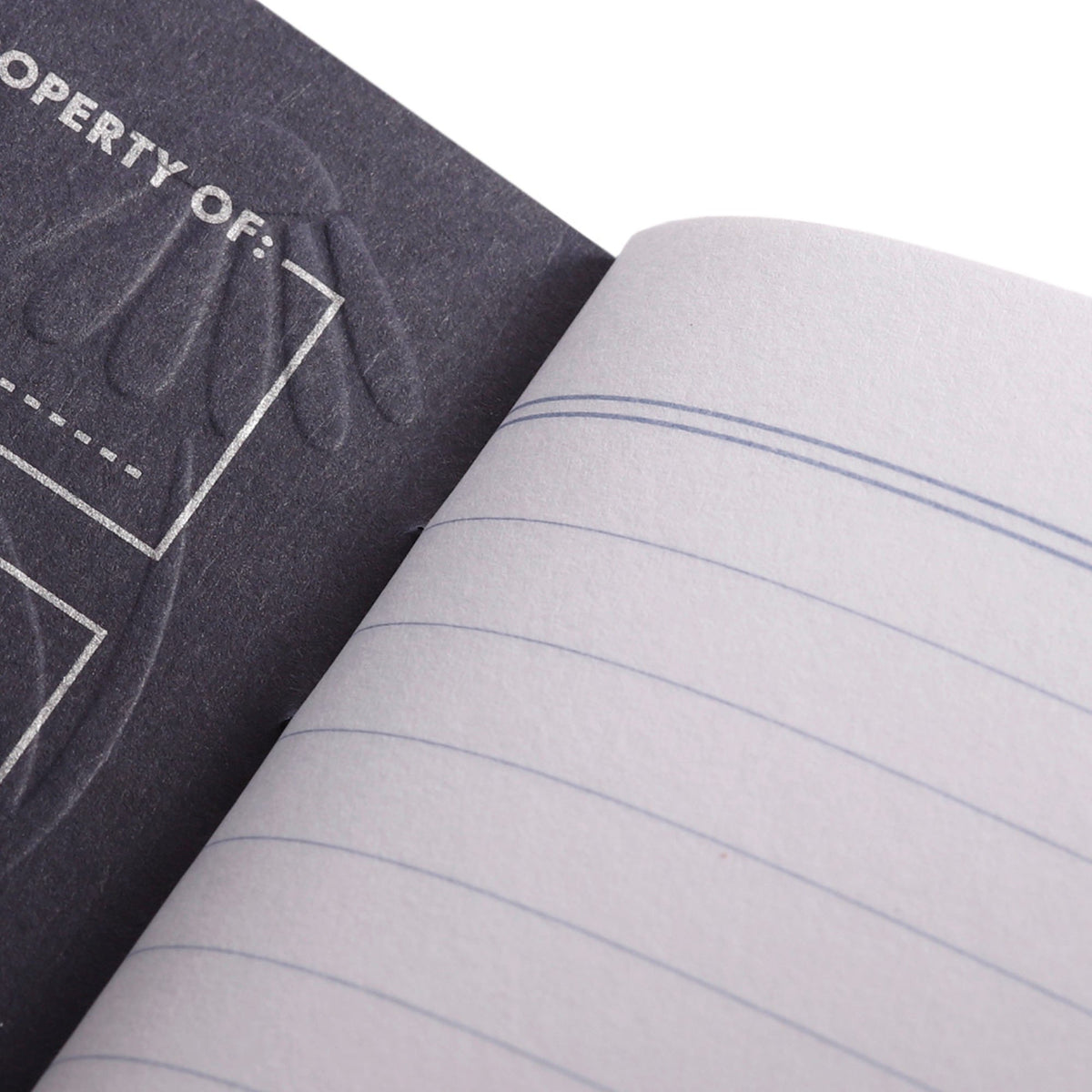 Field Notes Fall Flowers Lined Ruling Paper