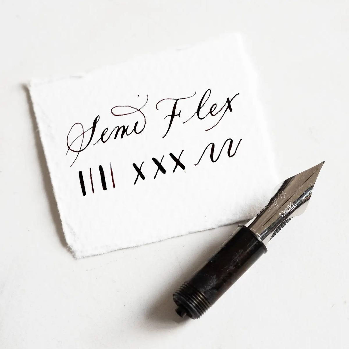 Tom's Studio Specialty Nibs Semi-Flex Stainless Steel