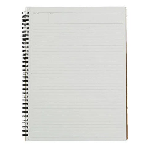 Maruman Mnemosyne Notebooks