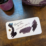 Teranishi Guitar Ink Bottle Innocent Mauve Swatch
