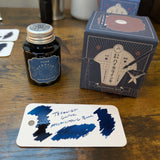 Teranishi Guitar Ink Bottle Melancholic 