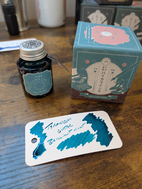 Teranishi Guitar Ink Bottle Brilliant Mint