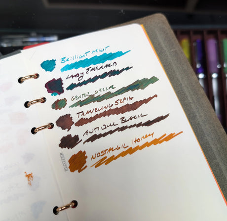 Teranishi Fountain Pen Ink / Guitar Taisho Roman Haikara