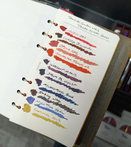 Teranishi Fountain Pen Ink / Guitar Taisho Roman Haikara